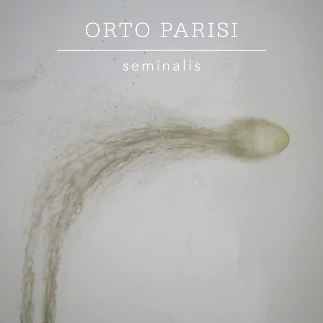 ORTO PARISI project page link thumbnail image